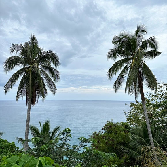 Meet your Posher, Chona - Picture 8 of 8